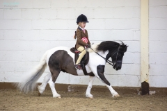 Alexia-Lilley-and-Briar-Puzzle- Alexia-Lilley-and-Briar-Puzzle-