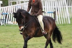 The NCPA Eastern Spectacular The NCPA Eastern Spectacular