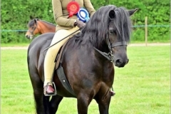 Beatrice-Tavener-Jordan-Horse_Pony-Shilstone-Rocks-Barn-Dance-ll