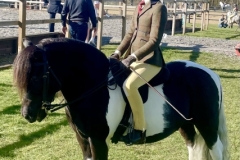 Hetty-Roddis-Horse_Pony-Firle-Ruben