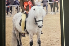 Lilly-Richardson-and-Briar-Snowfox