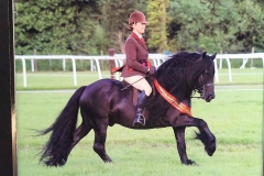 Bracklinn Jackpot and Hayley Reynolds