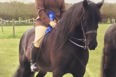 Tarbarl Hogmanay and Lizzie Rowley