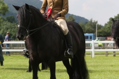 Tarbarl Mary Jane and Kate Wilson