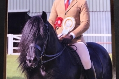 Wildhoeve Okidoki and Jonny Stevens