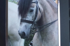 Yersten of Alltnacailleach and Rhi Randall