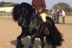 Hayley Reynolds and Wellbrow Edwin