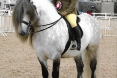 Sofia and Scott Of Forglen