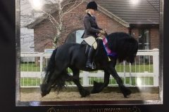 Vicki Casey and Townend Stevie