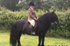 Terri-Gregson-and-Wellbrow-Diplomat