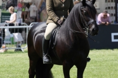 Chantelle-Chapman-and-Greenholme-Falcon