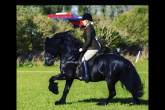 Georgia-Hanson-and-Waterside-Black-Jack