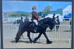 Hayley-Reynoldsand-Wellbrow-Diplomat