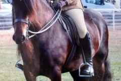 Kate-Wilson-and-Carrock-Beauty