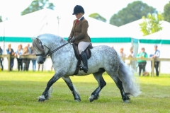 Rhiannon-Randall-and-Bluebraes-Merrick