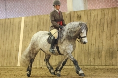 Amy-Canavan-Smith-Horse_Pony-Glenbanchor-Benbecula