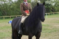 Emma-Burrow-Horse_Pony-Willmont-Braveheart