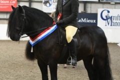 Heather-Comley-Horse_Pony-Griseburn-Merlin