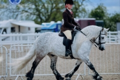 Holly-Smith-Horse_Pony-Kincardine-Uist