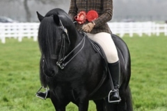 Jessica-morgan-Horse_Pony-Greenholme-Larry