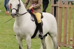 Samantha Fowler and Glencarrig Marble