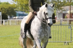 Hayley-Kane-and-Kilbride-Rosemary