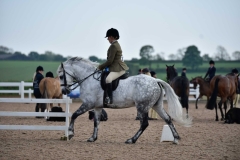 Heather-Carey-Gwyther-and-Murvey-Dodgy