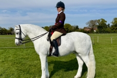 Amber-Thorpe-Horse_Pony-Dun-Knight