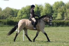 Ruby-Taylor-Horse_Pony-Castleturk-Arthur