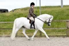 Sophie-robins-Horse_Pony-Knockferry-Vision