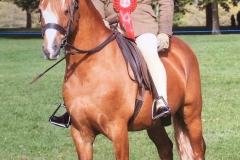 Clausholm Viking and Terry Clynes