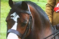 Forlan Honey Rhythm and Gabby Davies