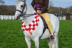 Littlebyrom Harry Potter and Liane Evans