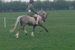 Moelview Milkybar and Livvy Wilkes