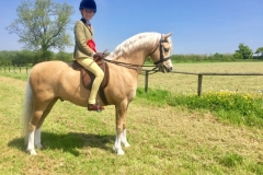 Kate Hewson and Laithehill Flute