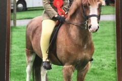 Kyra Brash Hand Wellbank Gabriel