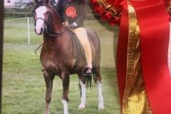 Rebecca orr and Anri mister percy