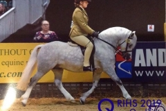 Anna M.L. Richards and Springbourne Cartier