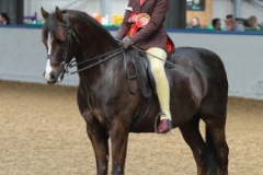 Emily Campbell and Huwil Blue Bobbie