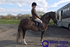 Emma Boardman and Laithehill Crown Prince