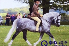 Victoria Harker and Dukshill Pearly Spencer