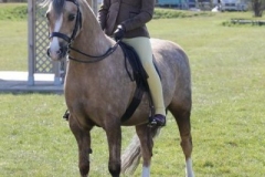 Cadlanvalley-Savannah-and-Molly