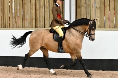 Emily-Carroll-and-Avonvalley-Flash-Harry