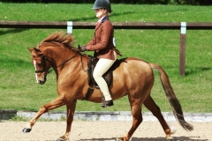 Helen-whiteley-and-Linksbury-Drummer-Boy