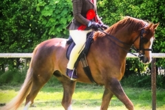 Rebecca-orr-and-Anri-mister-blue-sky