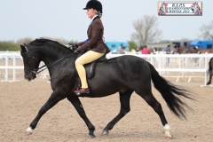 Amber-Twambley-and-Copella-Black-Knight