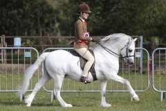 Harriet-Glenn-and-Rhydyfelin-Starburst