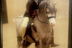 Scarlett-Doswell-and-Thistledown-Jambo