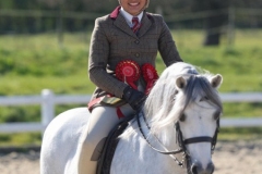 Bluebell-Beechey-Horse_Pony-Rofantina-Kindred-Spirit