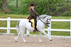 Daisy-taylor-Horse_Pony-Dargale-heathcliffe